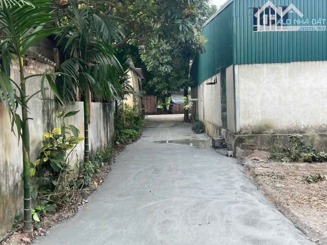 Hàng hiếm thường Tín giá chỉ 1tyt240 triệu