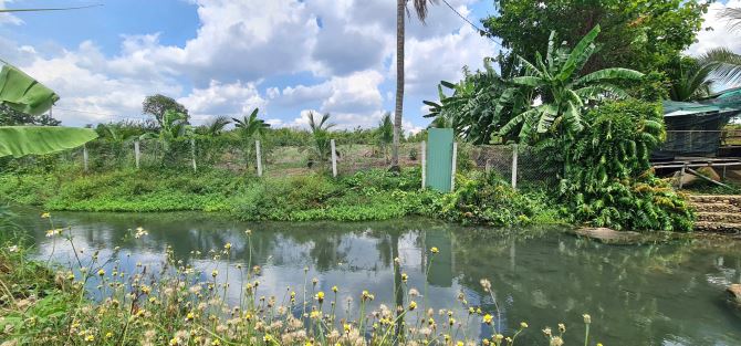 SIÊU PHẨM VƯỜN TRÁI CÂY, VIEW HỒ CÁ, VIEW SUỐI CHẢY RẤT ĐẸP tại Cẩm Mỹ, Đồng Nai