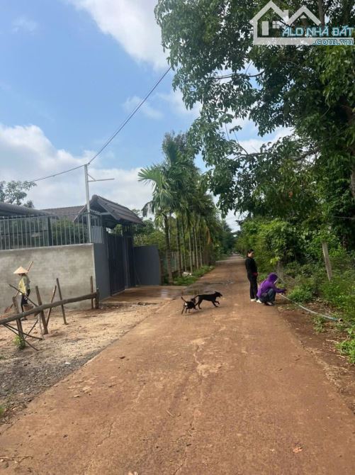 Hót hót khách ơi , siêu phẩm chân dài có 102