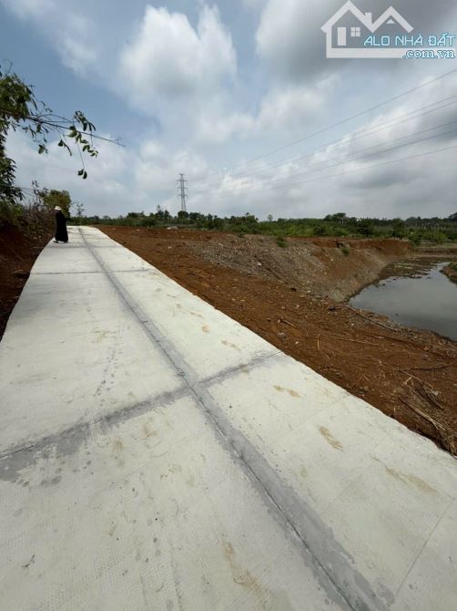 Bán 6 sào đất CLN tại phường Khánh Xuân