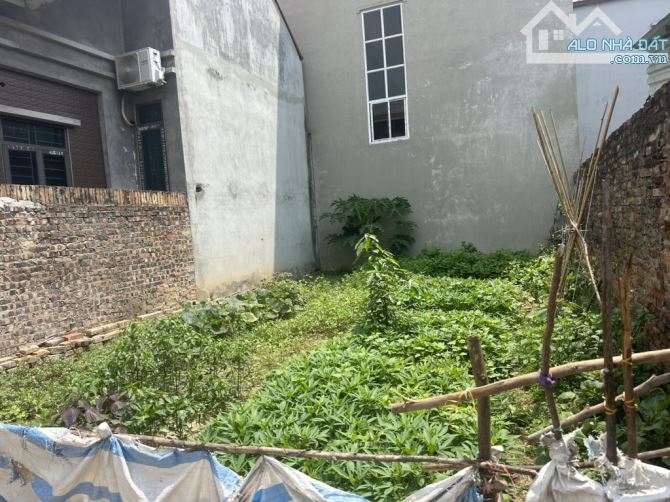 🌿 BÁN ĐẤT TIÊN DƯƠNG ĐÔNG ANH –  HÀNG HIẾM NHỎ TIỀN – CHỈ 2.65 TỶ 🌿