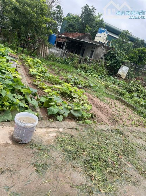 💯💯Đất Đẹp xã Tự Nhiên - Thường Tín - HN  ⛔️Diện tích: 42.3M2