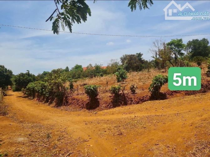 Đất thổ cư Eatar Cư Mgar 5x37 tc 60 chỉ 139 triệu/1 bìa