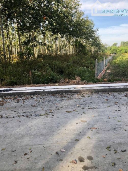 Bán đất mặt tiền đường nhựa 6m thông 2/ đường Trung Lập xã Phú Mỹ Hưng 1000m2 200m thổ