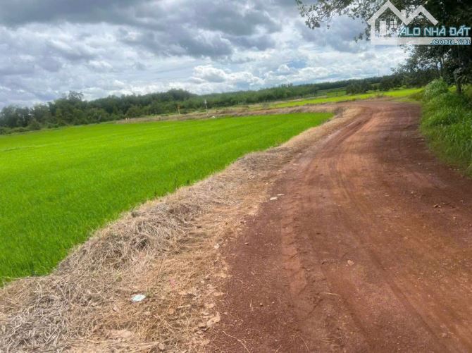 DIỆN TÍCH ĐẤT LỚN 980M2, CÁCH KCN PHƯỚC ĐÔNG 2,8KM, CHỈ 280 TRIỆU, TẠI GÒ DẦU, TÂY NINH
