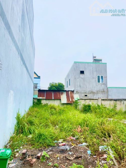 D204  Bán 2 Lô Đất , Phường Tân Phong, TPBH, Đ.Nai