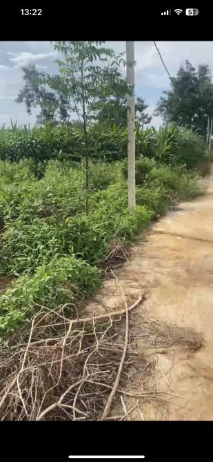 Đất Hoà Đông - Krong Pắc ngay KDC Thắng Lợi Việt Đức