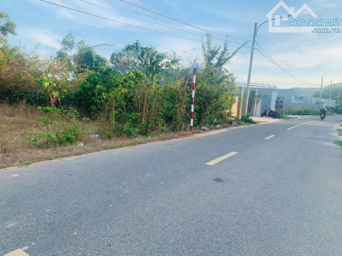 Chủ ngộp bán lỗ 150tr tại thị trấn Phước Hải. có 5 lô liền kề