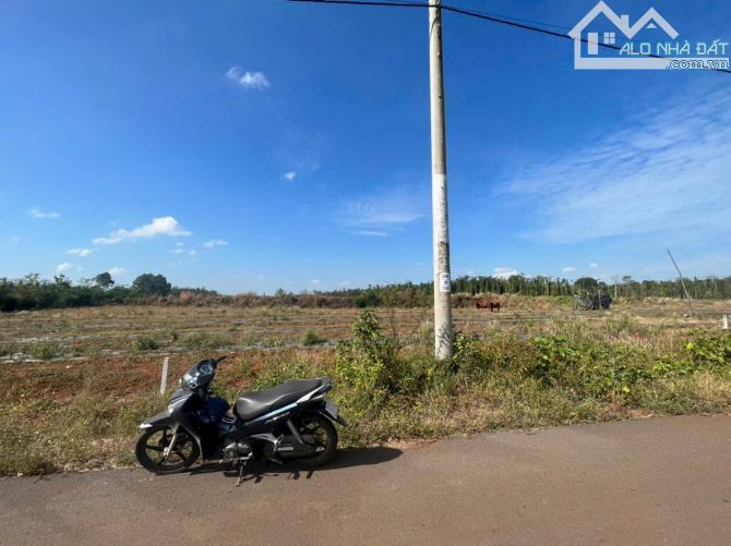 BÁN 2000M2 DÂT VƯỜN TẠI ĐÁ BẠC CHÂU ĐỨC, GIÁ 900TR/S ĐƯỜNG NHỰA KHU DÂN CƯ, AI MUA ĐAU TƯ