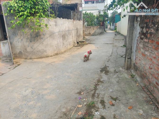 Chính chủ gửi bán lô đất 104m2 chia lô tại Thôn Nhân Nội - Tân Tiến