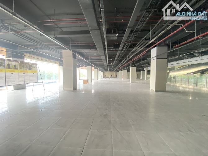 🔥 CHO THUÊ MẶT BẰNG KINH DOANH SÀN VĂN PHÒNG – 1000M² – MẶT PHỐ THÁI THỊNH 🔥