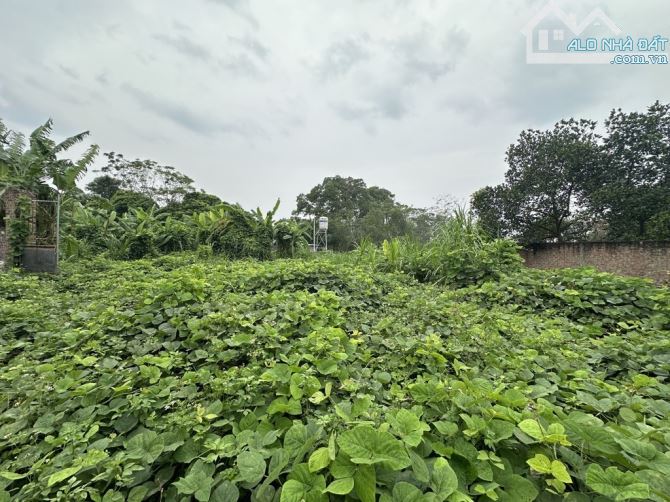 Đan tảo tân minh 562m LÔ ĐẤT CỰC ĐẸP - Ở SƯỚNG - TIỆN ÍCH VÔ VÀN.