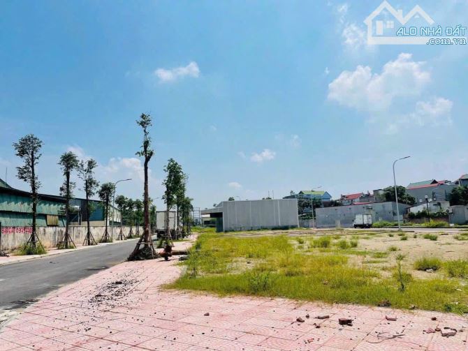 💥💥💥ĐẤU GIÁ TỔ 4 - QUANG MINH‼️2 MẶT TIỀN ĐƯỜNG - OTO TRÁNH - KINH DOANH NGAY 💥