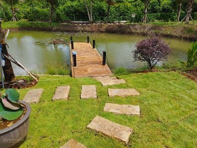 Cần bán lỗ khu vườn tuyệt đẹp ngay khu dân, có suối chảy bao quanh đất - 1