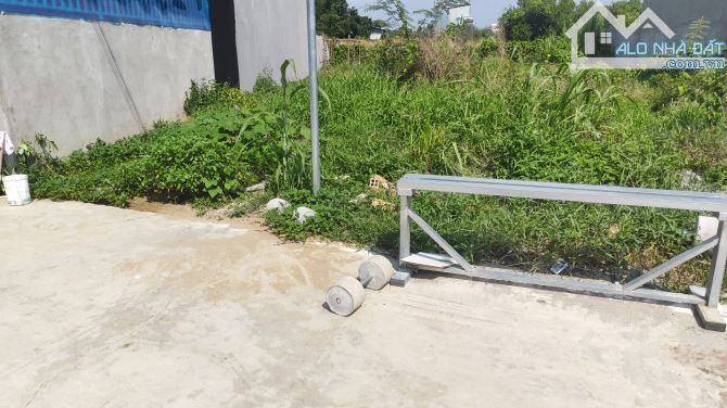 Bán lô đất gần ủy Ban Bình Lợi đường lớn ô tô sổ riêng 184 m2 chỉ 995 triệu - 1