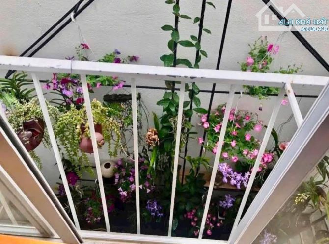 🏡🏡 BÁN VILLA SÂN VƯỜN MẶT TIỀN ĐƯỜNG NHỰA P4 TP ĐÀ LẠT 🏡🏡 - 3