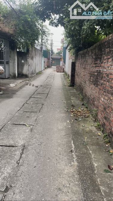 Đất bán Lô góc Kim chung- Đông anh - HN; vị trí cực đẹp. - 1
