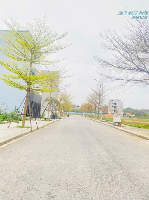 Bán đất phân lô tại Đồng tâm, Vĩnh yên, Vĩnh Phúc. Giá chỉ 2.75 tỷ
