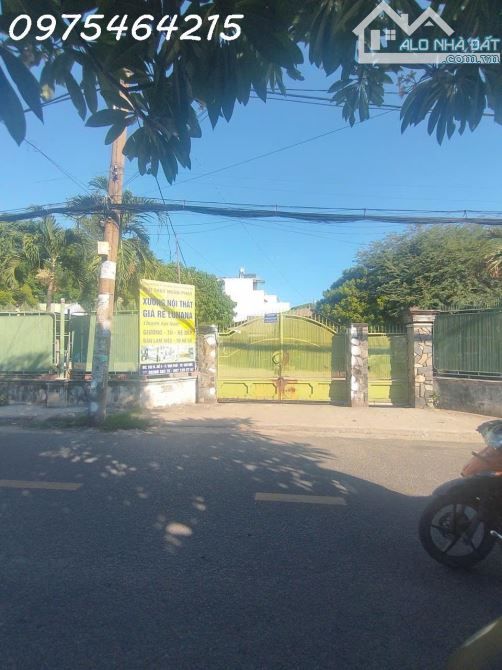 Bán Đất Đường Số 4, Tam Phú, Thủ Đức – Full Thổ Cư, Diện Tích Lớn 1.333m² - 1