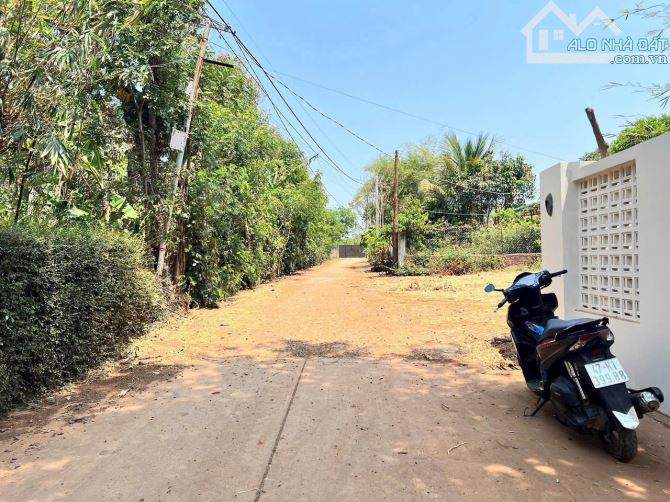 Đất đường A thôn 6 Cư Ebur gần trường THCS Hàm Nghi - 1