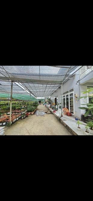 Bán gấp gần 6ha đất mt nguyễn duy trinh full thổ 61x100 599 tỷ - 1