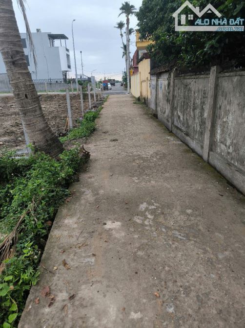 133,4m2 Kim Đới 3, Hữu Bằng Kiến Thụy - 1