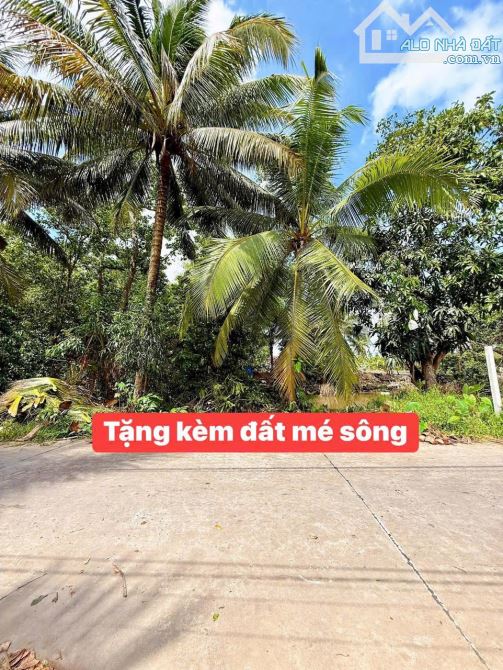 BÁN NỀN BIỆT THỰ VIEW SÔNG – MẶT TIỀN RẠCH KHOÁN CHÂU – BÌNH THỦY, CẦN THƠ - 1