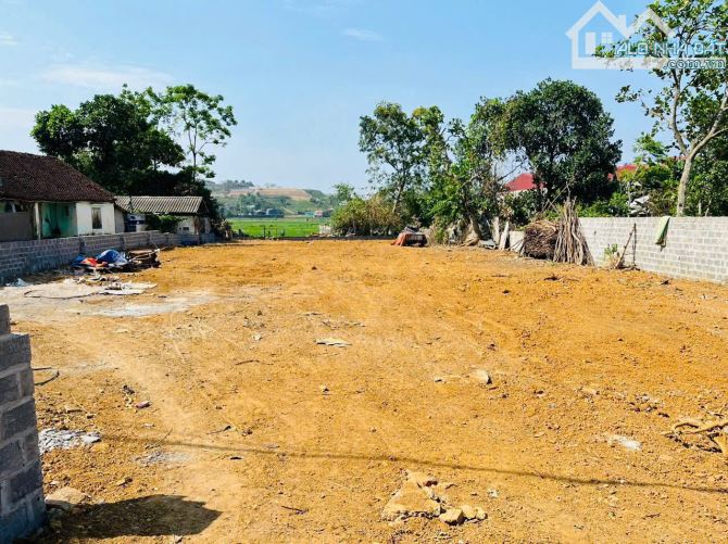 chính chủ cần bán lô 784m sẵn sổ, quy hoạch đẹp, đối diện uỷ ban xã khu trung tâm nhất - 1