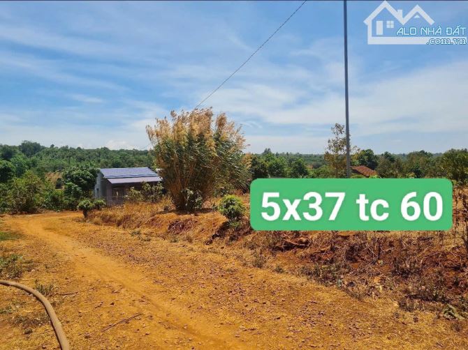 Đất thổ cư Eatar Cư Mgar 5x37 tc 60 chỉ 139 triệu/1 bìa - 1