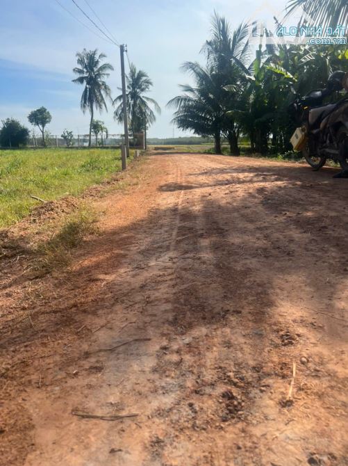 DIỆN TÍCH ĐẤT LỚN 980M2, CÁCH KCN PHƯỚC ĐÔNG 2,8KM, CHỈ 280 TRIỆU, TẠI GÒ DẦU, TÂY NINH - 1