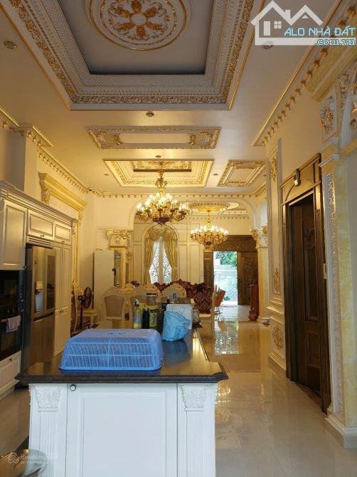 Siêu phẩm giá tốt! Bán biệt thự HXH 10m đường Âu Cơ,TÂN BÌNH- 9x21m- 2lầu, chỉ còn 25 tỷ - 1