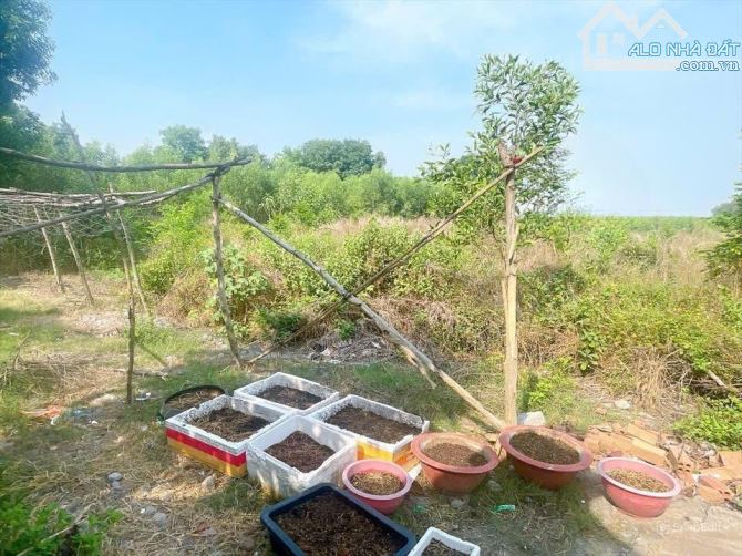 Bán quỹ đất qui hoạch SKC 35000m2, Tân An, Vĩnh Cửu, Đồng Nai, giá 42 tỷ. - 1