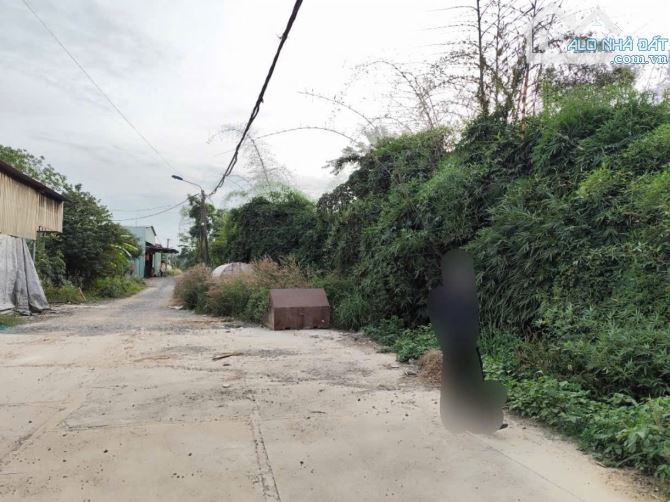 Bán đất 1.432m2_SHR_qh Thổ cư gần trường học Lê Đình Chinh Hố Nai 3. - 1