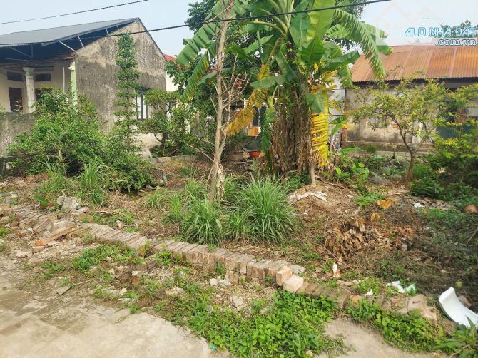 Chính chủ gửi bán lô đất 104m2 chia lô tại Thôn Nhân Nội - Tân Tiến - 1