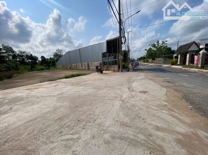 Bán đất mặt tiền Bông Vang - Phường An Bình (sau sáp nhập) - 1