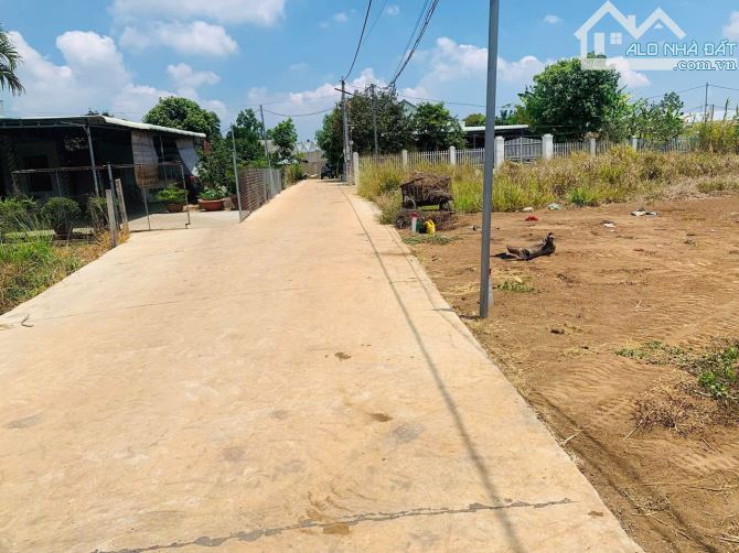 chỉ 620 Triệu nền -6x25, 80m thổ cư Long Tân- Huyện Đất Đỏ - Bà Rịa Vũng Tàu - 1