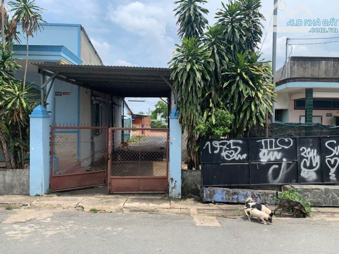 BÁN GẤP CĂN NHÀ RỘNG 740m² GẦN NHÀ THỜ HÀ PHÁT & CV 30/4 - Phường Tân Biên, Biên Hòa - 1