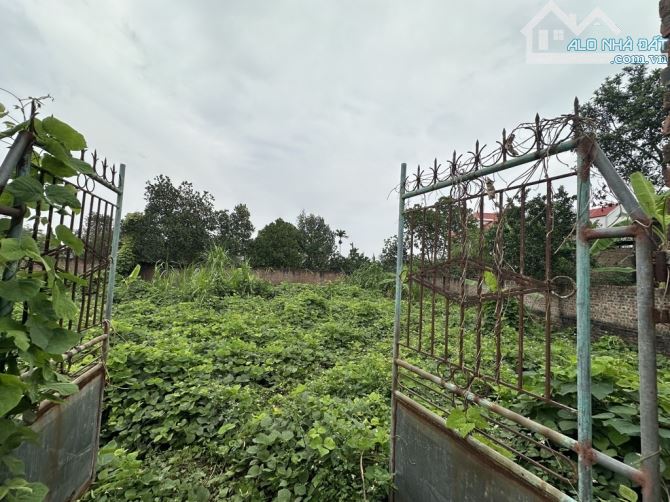 Đan tảo tân minh 562m LÔ ĐẤT CỰC ĐẸP - Ở SƯỚNG - TIỆN ÍCH VÔ VÀN. - 1