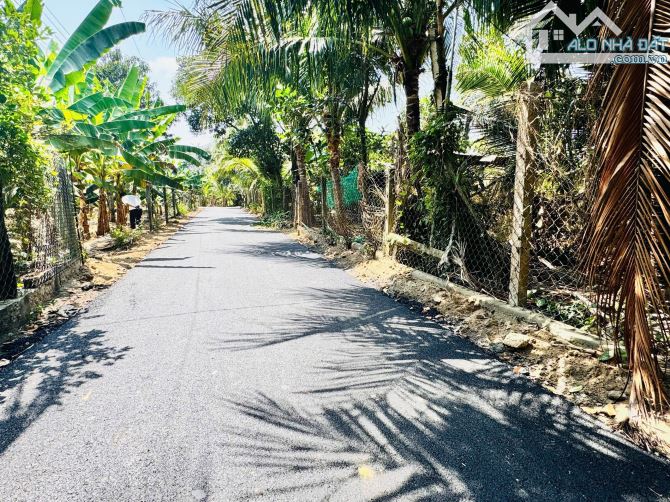 💥💥2 Lô Đất dân vườn dừa Diên Thọ - Diên Khánh. Đường nhựa đẹp bán giá chỉ 720 triệu - 1