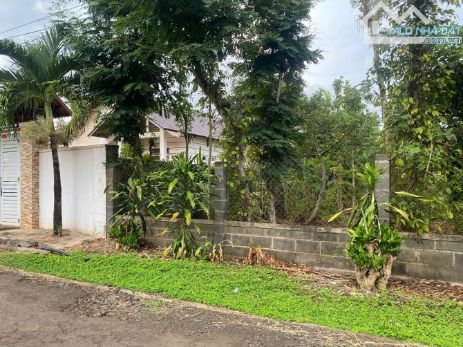Bán lô đất xã Hoà Xuân, Tp. Buôn Ma Thuột - 1