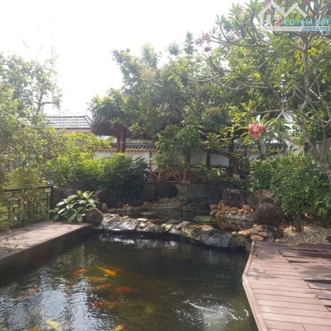 View xịn tọa lạc tại thôn 11_Hòa Phú_Buôn Ma Thuột _Đăk Lăk. Dt: 27,5×50 tc 400m²  $ 7 tỷ - 15
