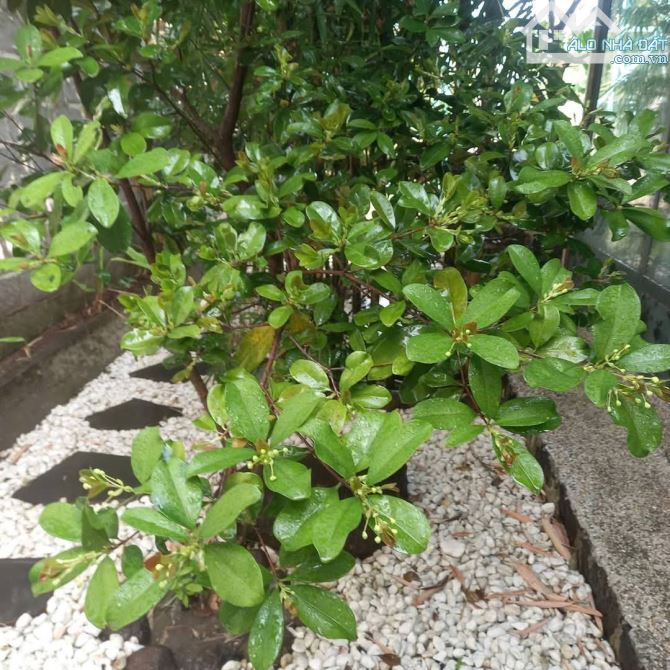 View xịn tọa lạc tại thôn 11_Hòa Phú_Buôn Ma Thuột _Đăk Lăk. Dt: 27,5×50 tc 400m²  $ 7 tỷ - 17