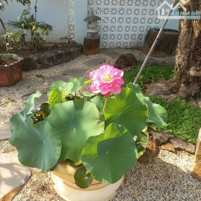 View xịn tọa lạc tại thôn 11_Hòa Phú_Buôn Ma Thuột _Đăk Lăk. Dt: 27,5×50 tc 400m²  $ 7 tỷ - 20