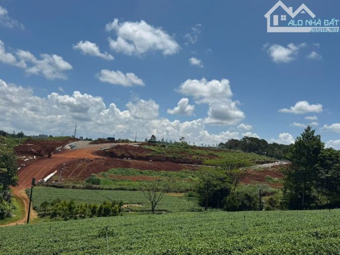 LÂM ĐỒNG, BẢO LỘC, ĐAM BRI, 2 MẶT TIỀN, VIEW HỒ, 7403M2, SÁT D.A KHANG ĐIỀN, 28TỶ - 3
