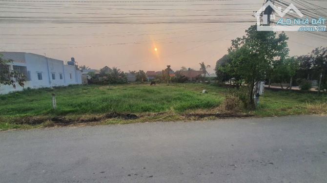5,2 tỷ 💯 Đất MT BÀU SEN hoà khánh đông. 14 x 40 ( 500m) thổ cư hế - 2