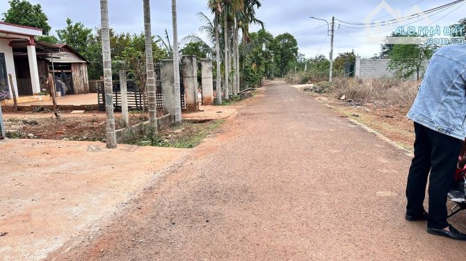 ĐẤT ĐẸP DÀI MIÊN MAN ĐƯỜNG N7 BUÔN JU ĐƯỜNG THÔNG RỘNG - Loctran - 2