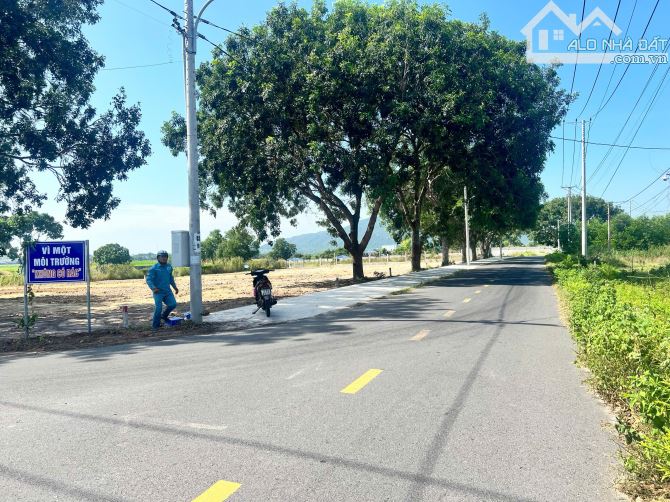 BÁN 5LO MT TÔN THẤT THUYẾT - PHƯỚC HẢI , LONG ĐẤT , CÁCH BIỂN 2KM - 2