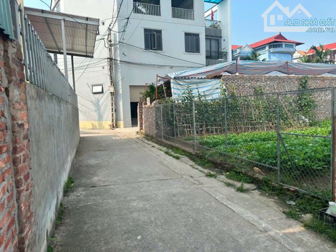 🔥🔥ĐƯỜNG THÔNG OTO  ĐỖ - ĐẤT VUÔNG-  THÔNG RA TRỤC CHÍNH KINH DOANH- CÁCH 50M RA KHU ĐẤU - 2