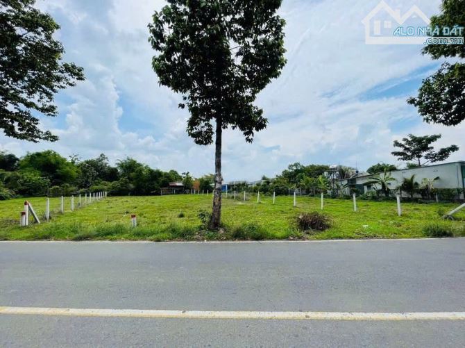 HÀNG HIẾM GIÁ TỐT - BÁN NGAY LÔ ĐẤT MT ĐƯỜNG 177M2 PHƯỚC THẠNH, SHR 640TR - 2