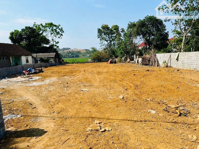 chính chủ cần bán lô 784m sẵn sổ, quy hoạch đẹp, đối diện uỷ ban xã khu trung tâm nhất - 2